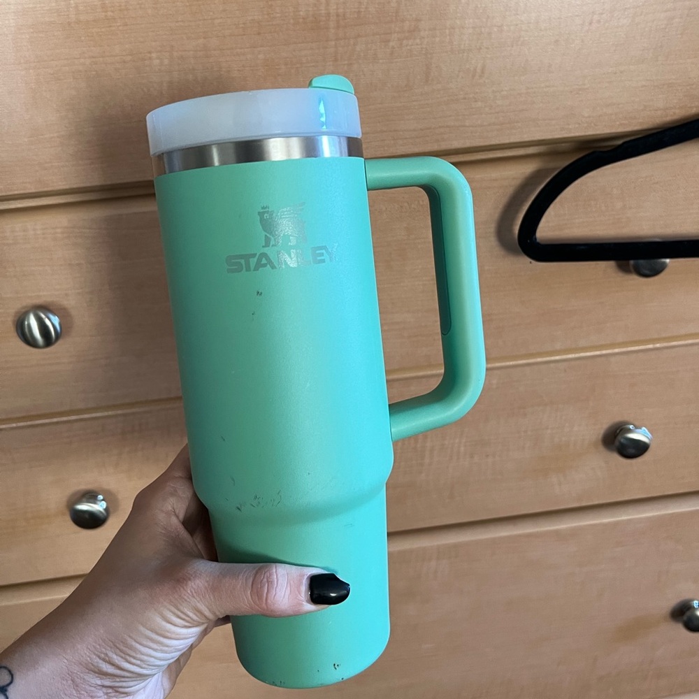Mint green Stanley